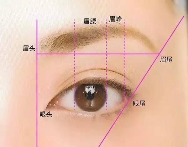 设计眉形最重要的三要素——眉头、眉峰、眉尾